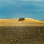 Measuring Resilience