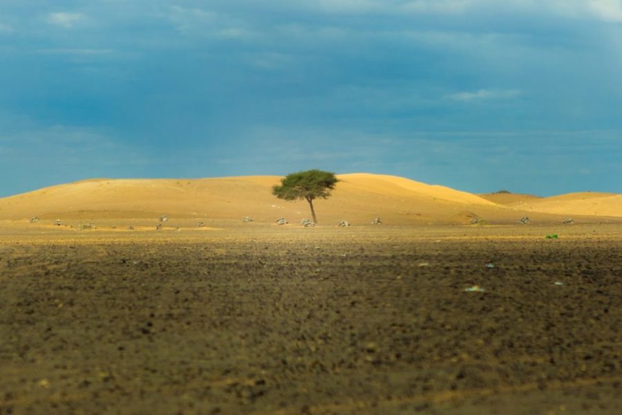 Measuring Resilience