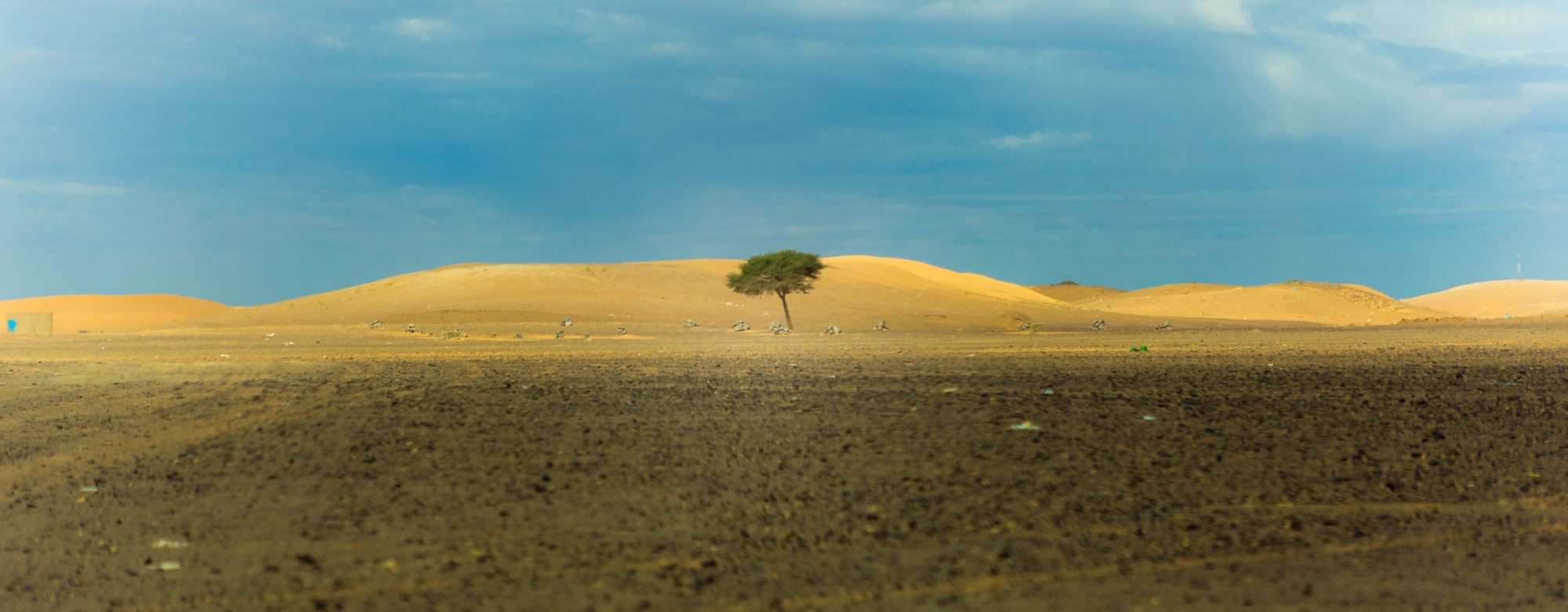Measuring Resilience